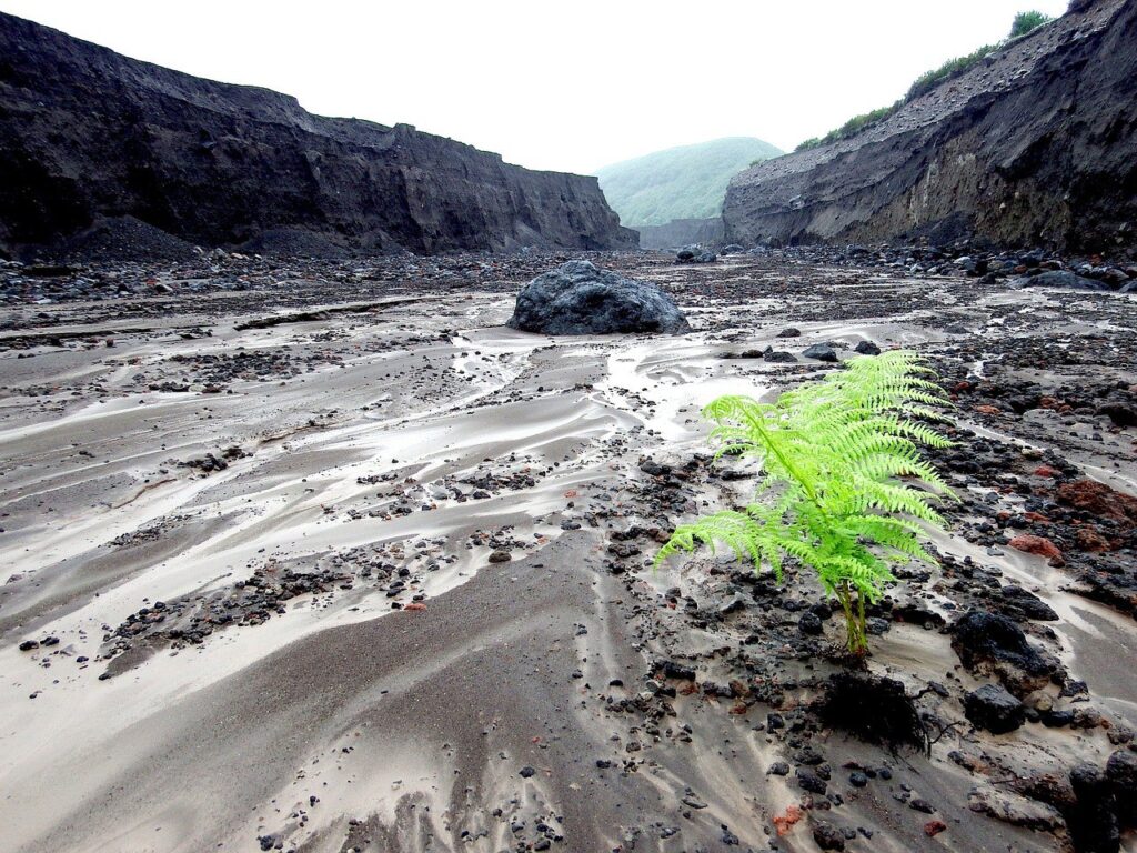 Угроза селя в Алматинской области: какие районы находятся в зоне риска сель