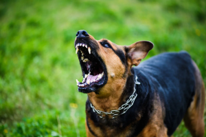 Иллюстративное фото: Canva.com