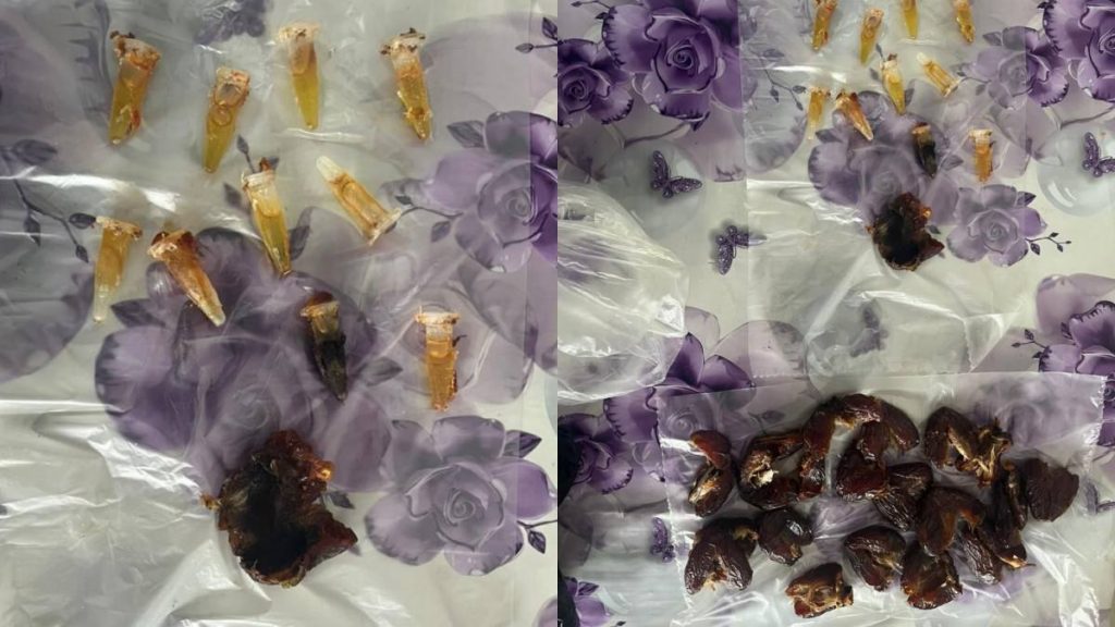 Наркотики в финиках пытались пронести в павлодарскую колонию