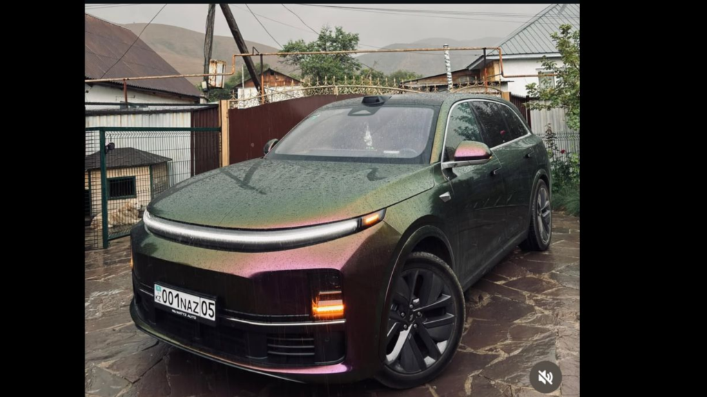 Казахстанская боксёрша продаёт машину, подаренную ей после Олимпийских игр