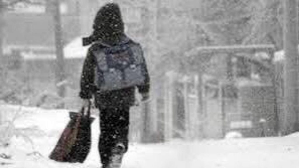 Учащихся второй смены в Астане перевели на онлайн-обучение школьник