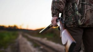 охота ружье