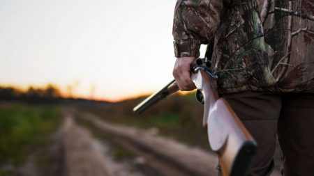 охота ружье