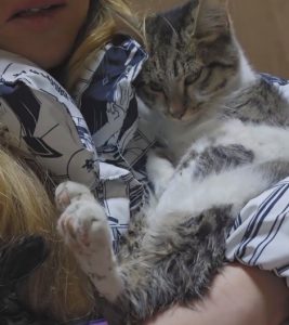 Кота с признаками издевательств нашли около одного из ЖК Алматы