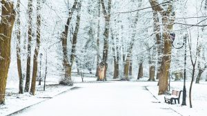 погода снег