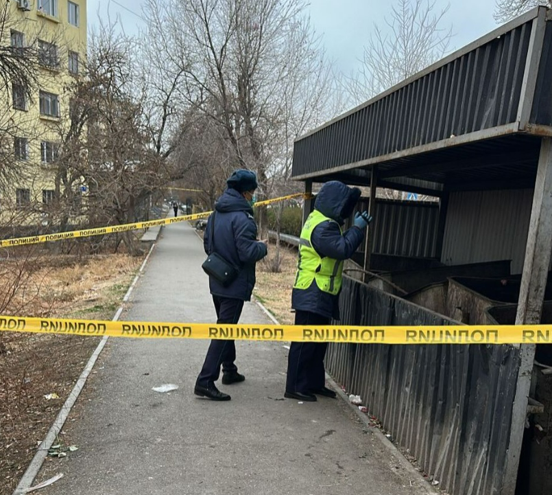 В Кентау среди мусора обнаружили тело новорожденного