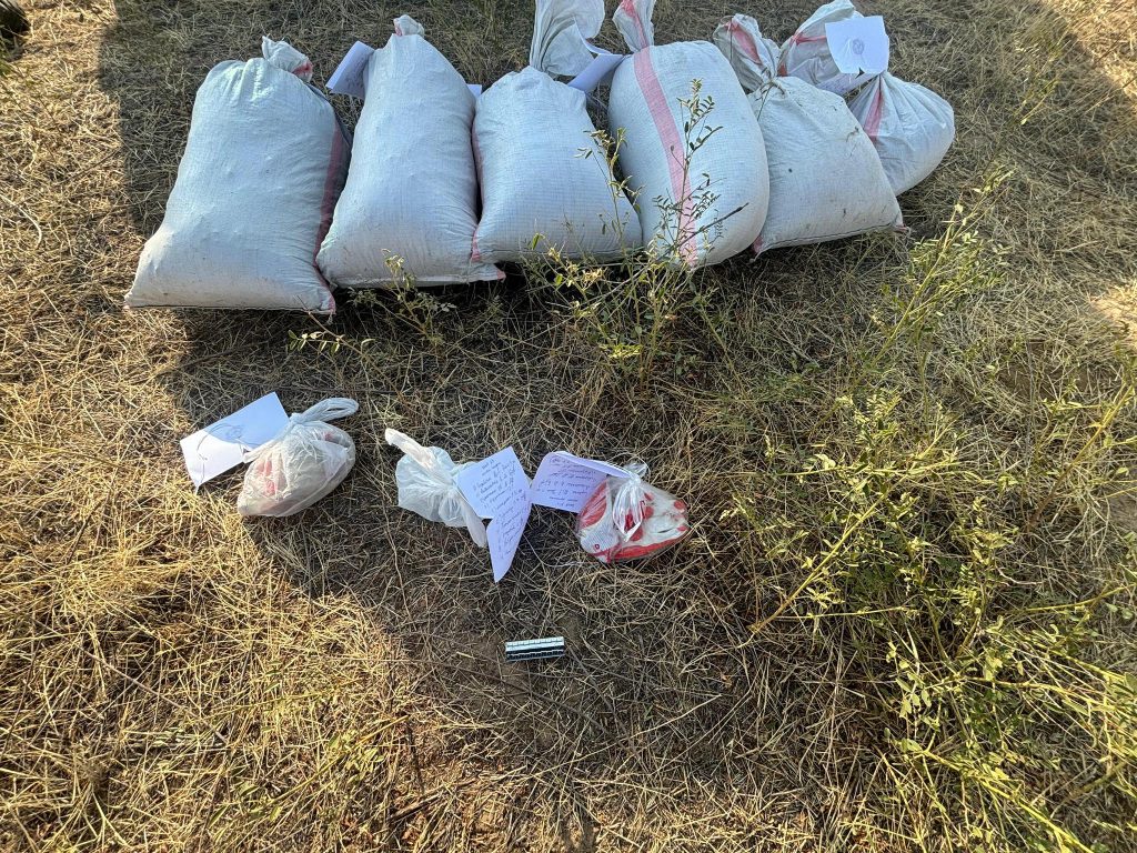 Четыре жителя Жамбылской области собрали в Шу 50 кг марихуаны