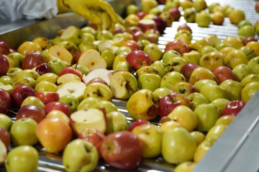 Завод по глубокой переработке фруктов и ягод запустили в Туркестанской области