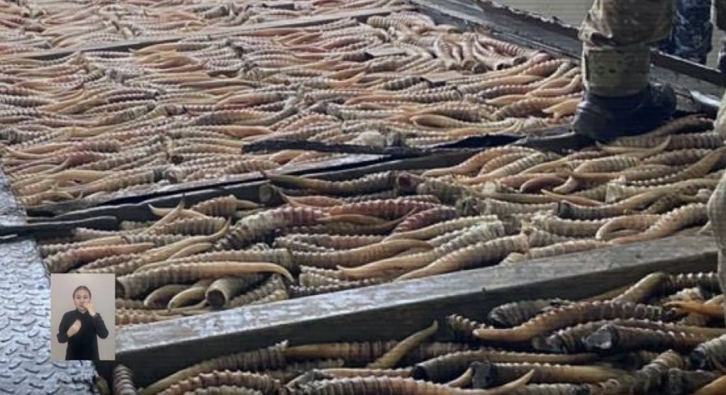 Канал незаконной охоты и контрабанды дериватов сайги прикрыли в Карагандинской области