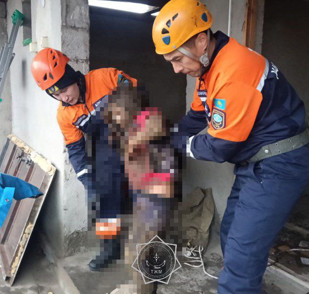 В уличный туалет провалилась девочка в Жамбылской области