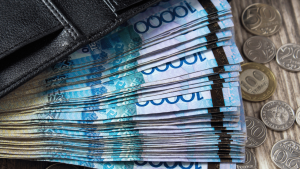 Фиктивные гранты и пособия: в Талдыкоргане раскрыли мошенничество на 2,4 млн тенге