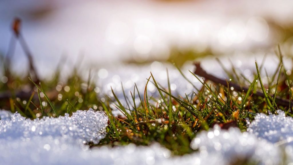 Потепление до 17 градусов прогнозируют на юге Казахстана погода весна