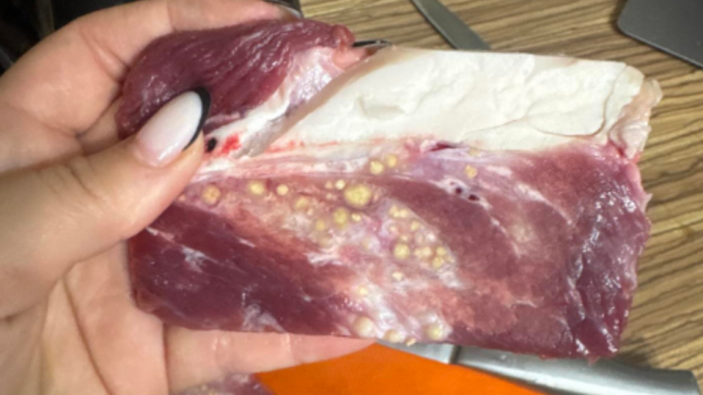 “Паразиты или гнойники”: казахстанка показала странные образования в мясе, купленном в магазине