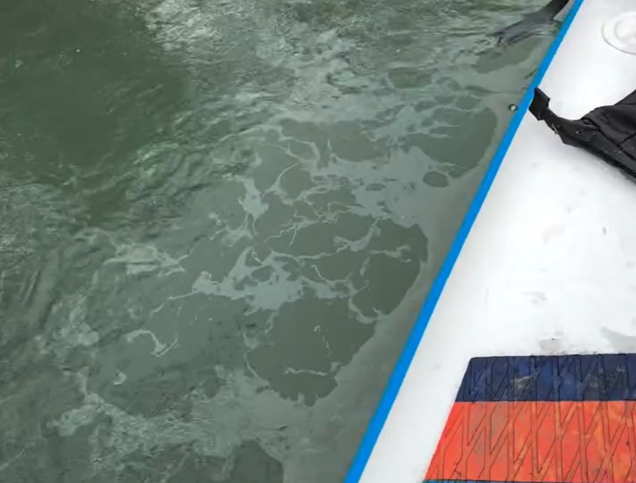 Масляные пятна заметили на Иртыше в Павлодаре