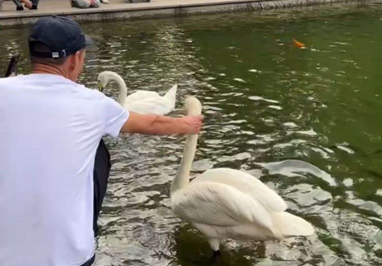 Вокруг пруда в Ботаническом саду Алматы установят ограждения