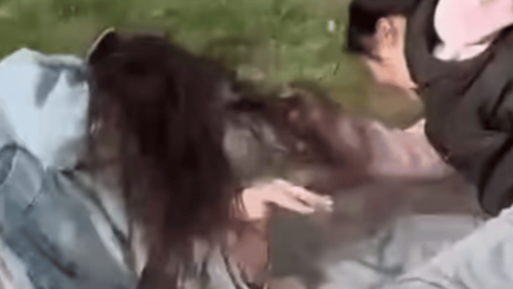 Очередной скандал с участием казахстанского блогера: женщина подралась в Костанае