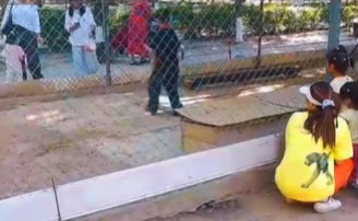 Женщина посадила своего ребёнка в вольер с животными в зоопарке Шымкента