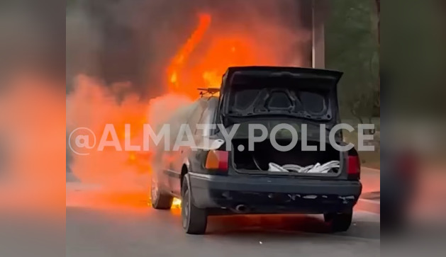 Бойцы СОБР потушили вспыхнувший автомобиль в Алматы (ВИДЕО)