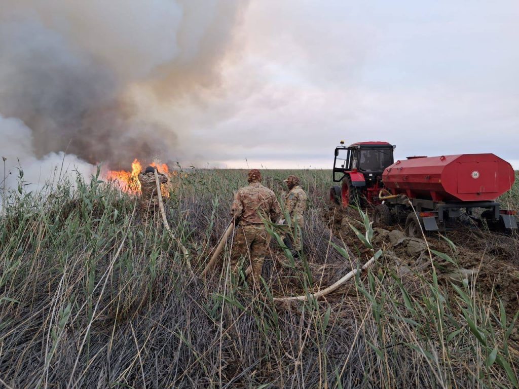 В Атырауской области загорелся камыш вблизи Каспийского моря