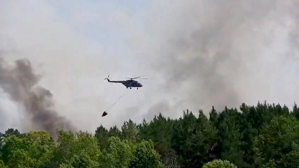 Пожар в «Семей орманы»: дело расследуют по уголовной статье