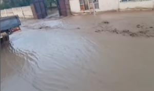 В Кыргызстане сель унес отару овец