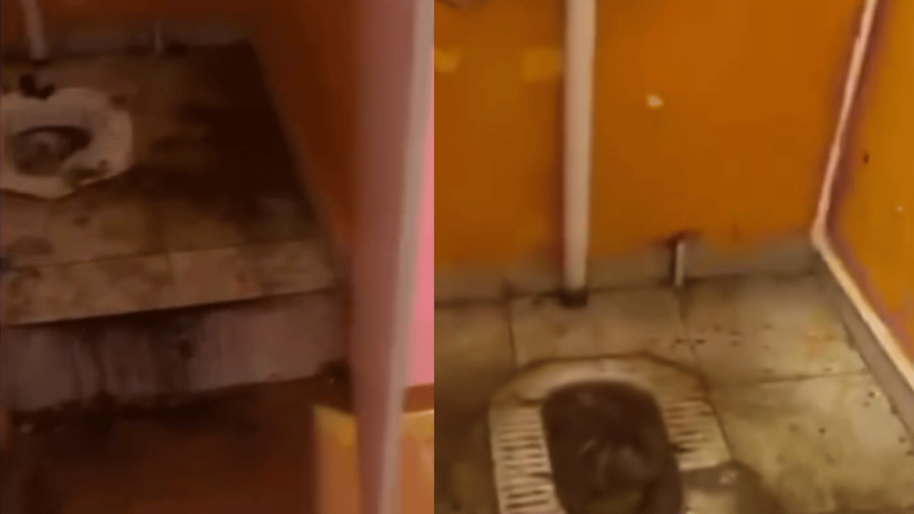 Грязные туалеты в лагере под Костанаем: санврачи провели проверку и выявили грубые нарушения