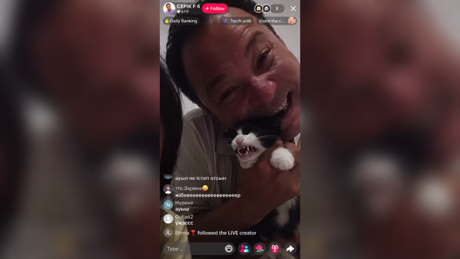 Кошка стала жертвой жестокого ролика в TikTok